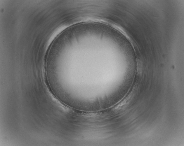 X0000074231048200609011237