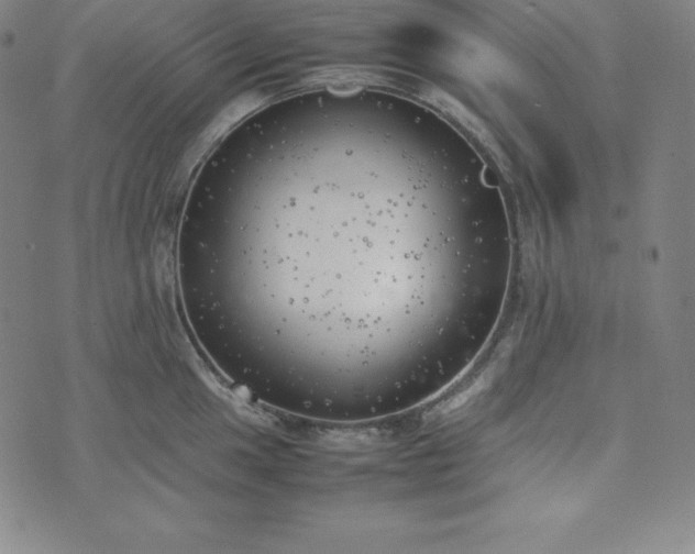 X0000074231049200609011237