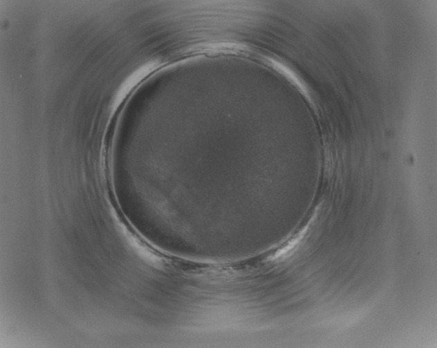 X0000074231050200609011237