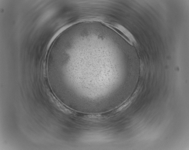 X0000074231052200609011237