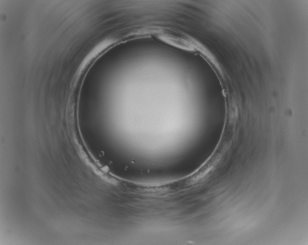 X0000074231053200609011237