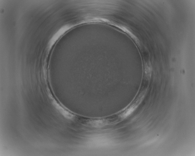 X0000074231054200609011237