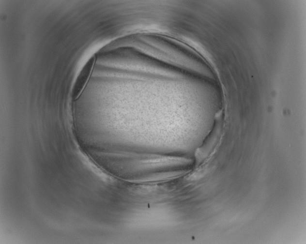 X0000074231056200609011237