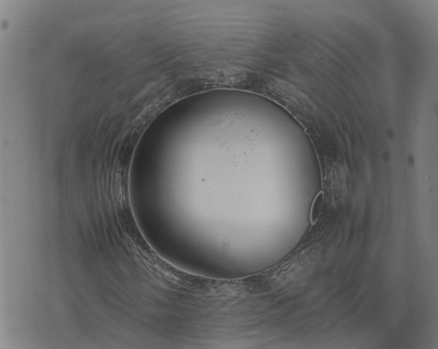 X0000074231058200609011236