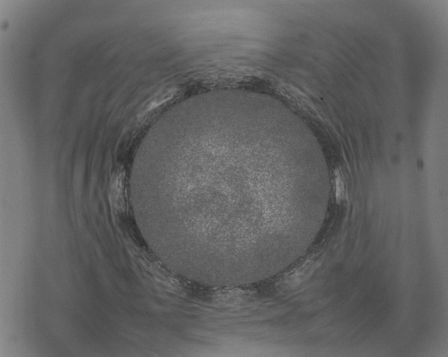 X0000074231059200609011236