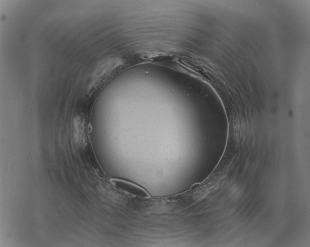 X0000074231060200609011236