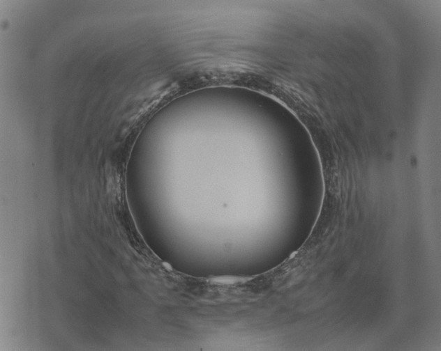 X0000074231061200609011236