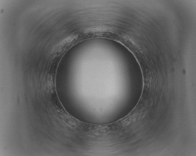 X0000074231062200609011236