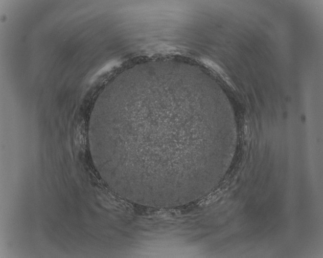 X0000074231063200609011236