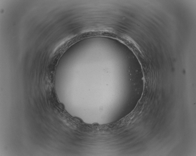 X0000074231064200609011236