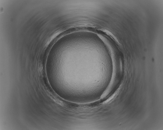 X0000074231065200609011236