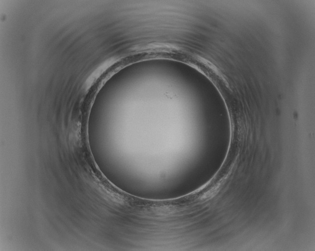 X0000074231066200609011236