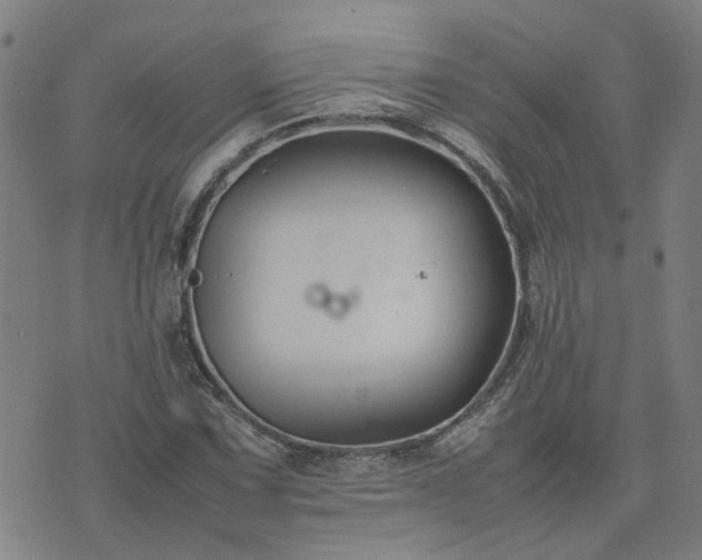 X0000074231067200609011236