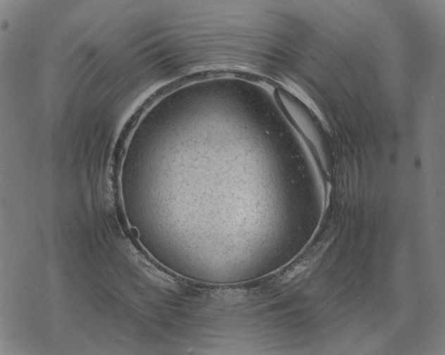 X0000074231068200609011236