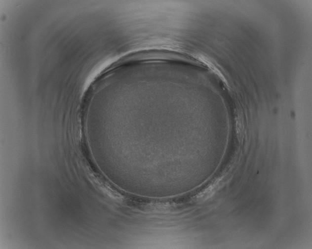 X0000074231069200609011236