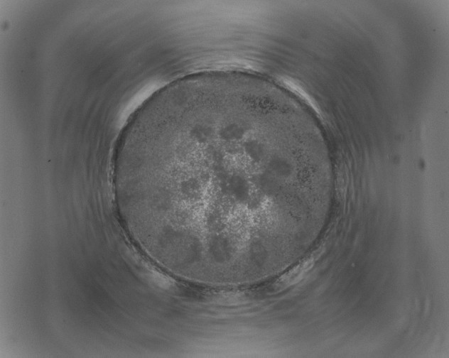 X0000074231071200609011236