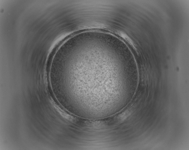 X0000074231072200609011236