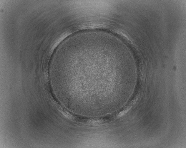 X0000074231073200609011236