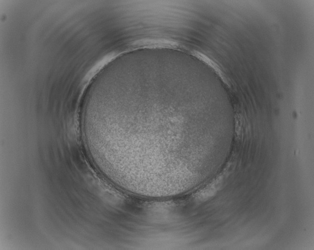 X0000074231074200609011236