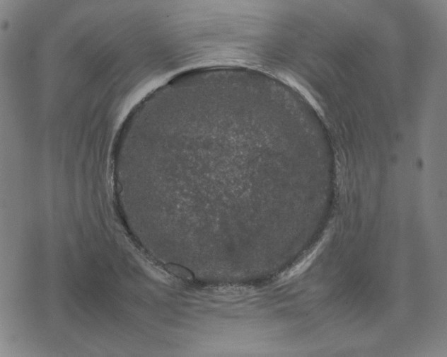 X0000074231077200609011236