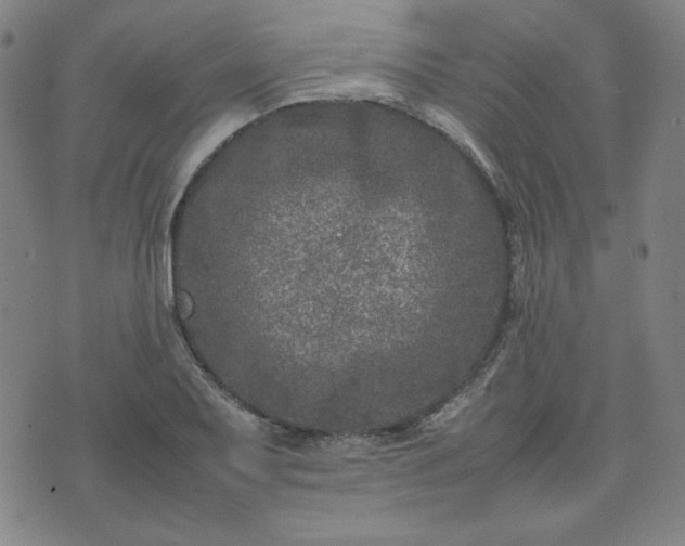 X0000074231079200609011236