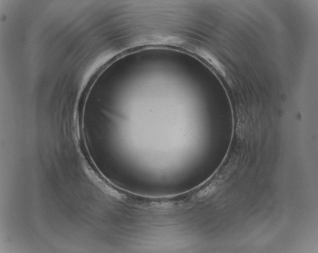 X0000074231080200609011236