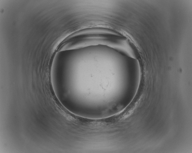 X0000074231081200609011236