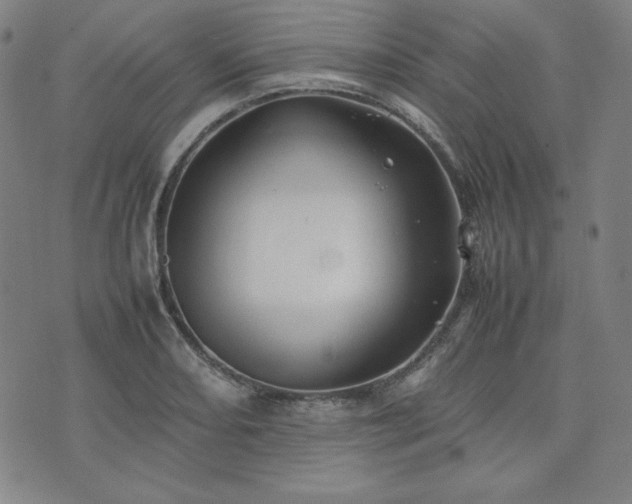 X0000074231082200609011236