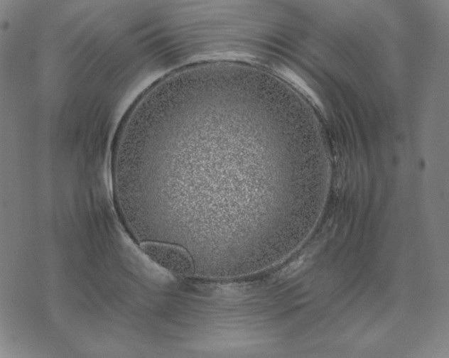 X0000074231084200609011236