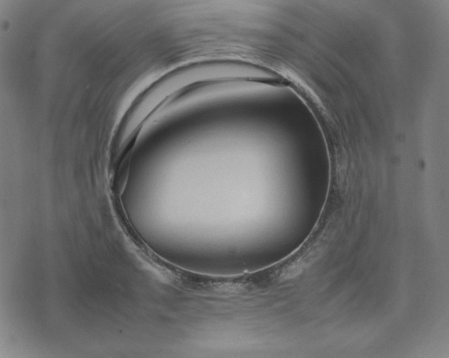 X0000074231085200609011236