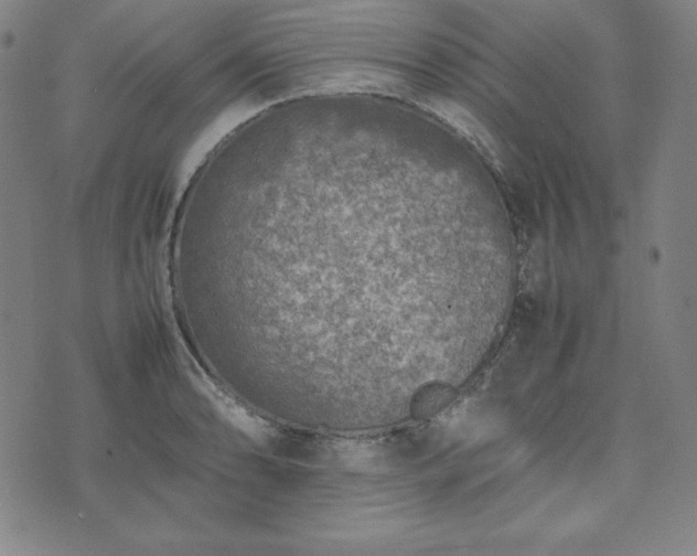 X0000074231086200609011236