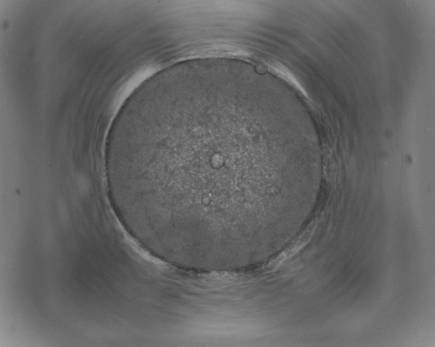 X0000074231087200609011236