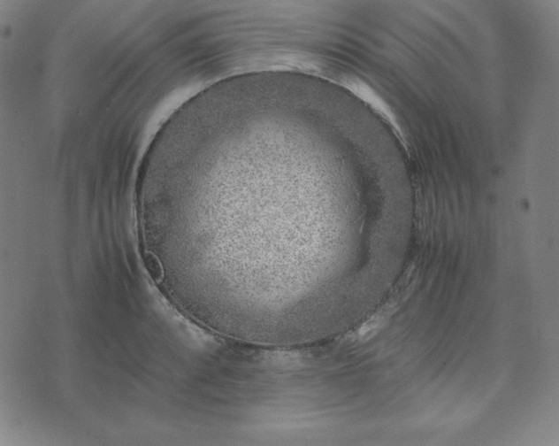 X0000074231088200609011236