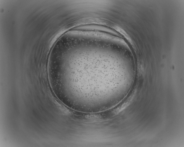 X0000074231089200609011236