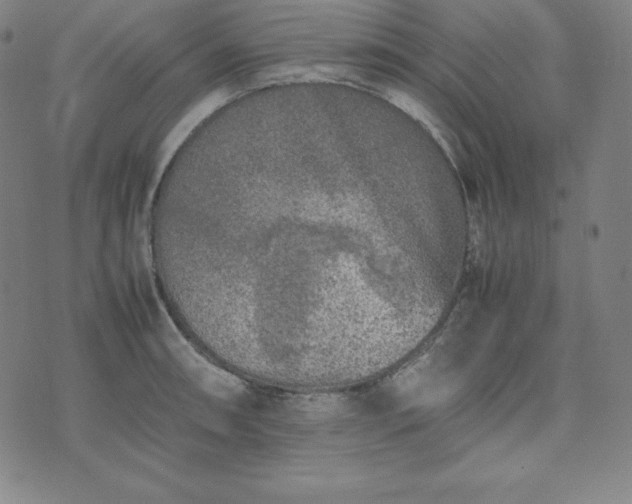 X0000074231090200609011236