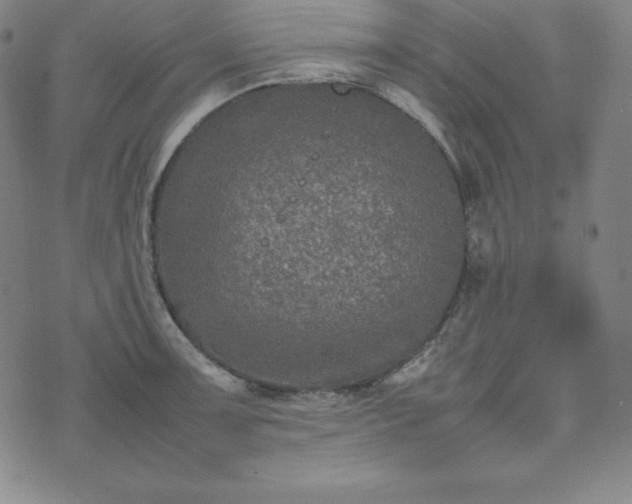 X0000074231091200609011236