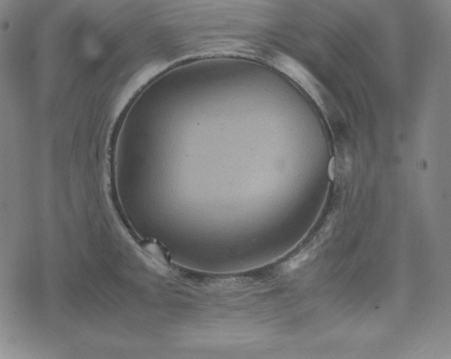 X0000074231093200609011236