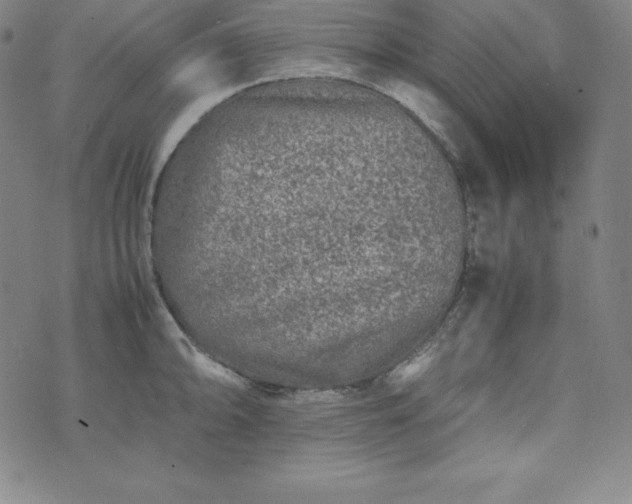 X0000074231094200609011236