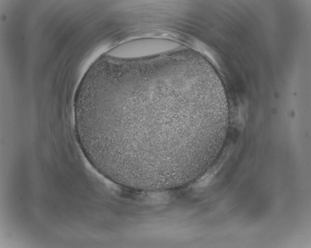 X0000074231095200609011235