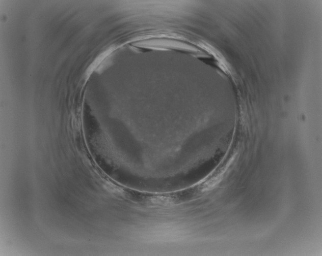 X0000074231097200609011235