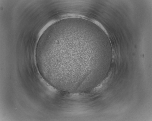 X0000074231098200609011235