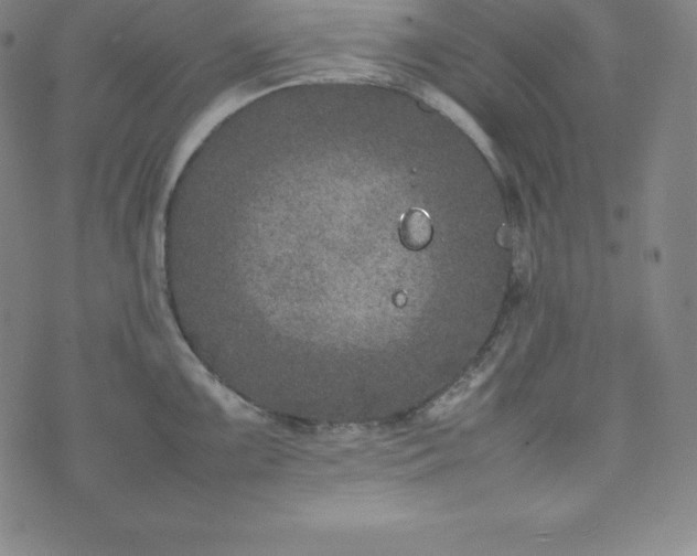 X0000074231099200609011235