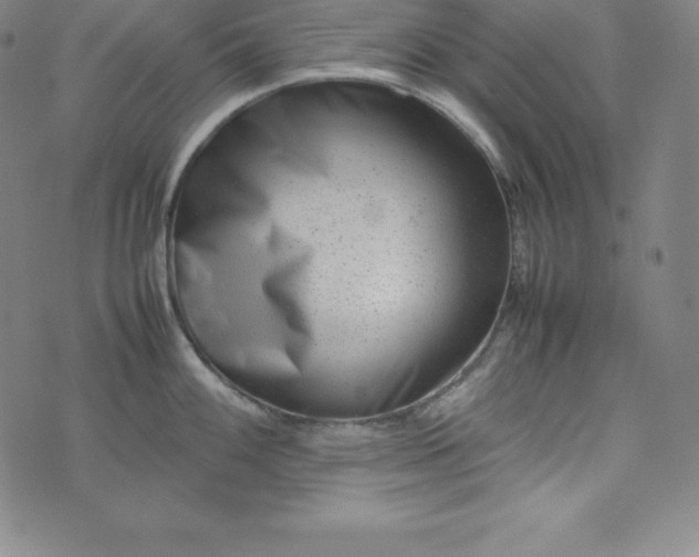 X0000074231100200609011235