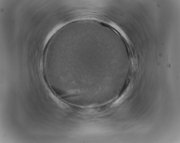 X0000074231101200609011235