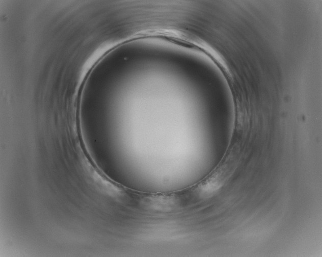 X0000074231102200609011235