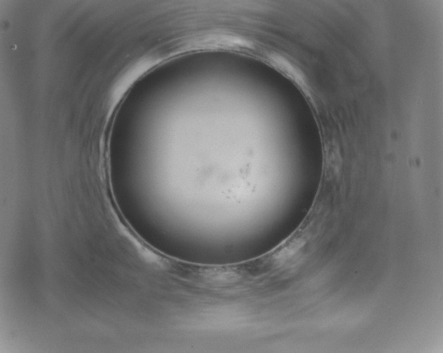 X0000074231103200609011235