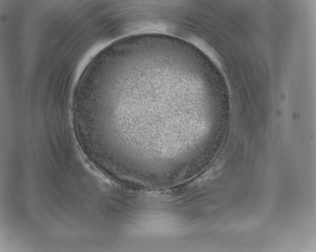 X0000074231104200609011235