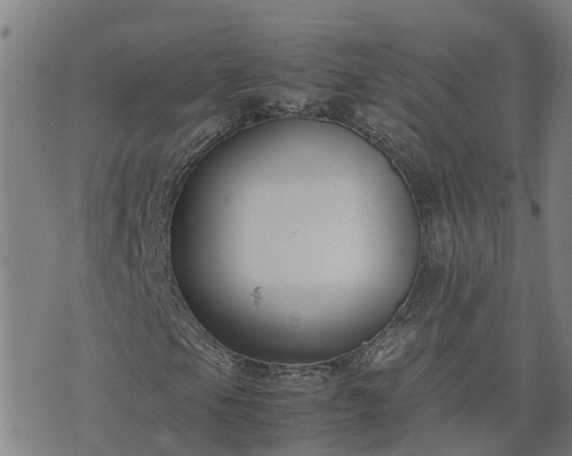 X0000074231105200609011235