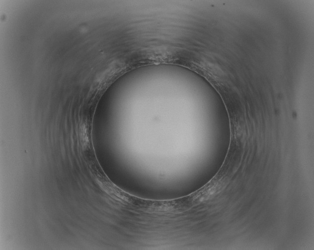 X0000074231106200609011235