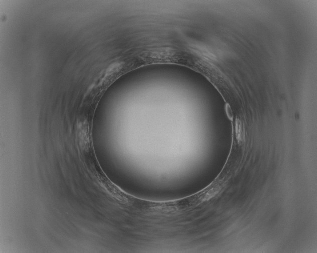 X0000074231107200609011235